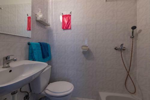 Hostal Penzi�n Vilo