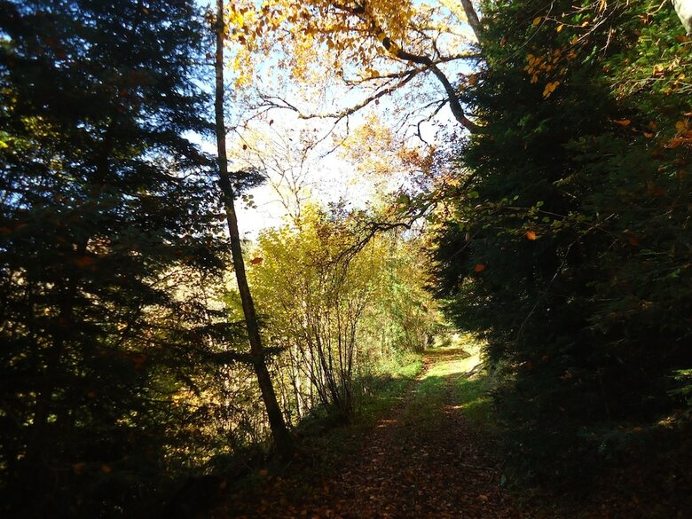 Camping Des Prairies D' Auvergne