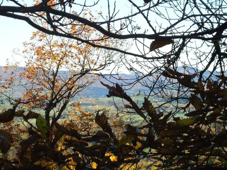 Camping Des Prairies D' Auvergne