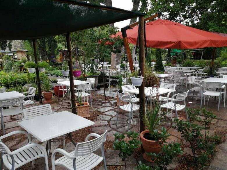 Hotel Fiore Guest Accommodation