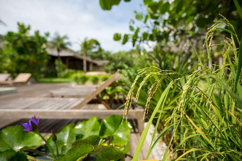 Apartamento Chantaramas Resort