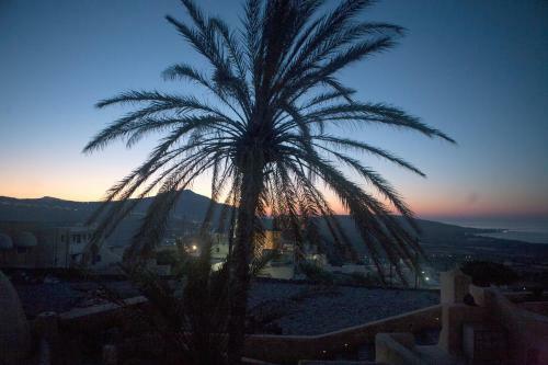 Apartamentos The Palm Tree Residence