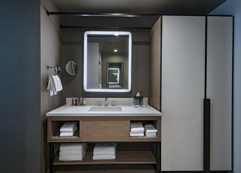 Hotel Austin Marriott Downtown