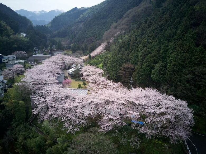 Aparthotel Oukai Villa