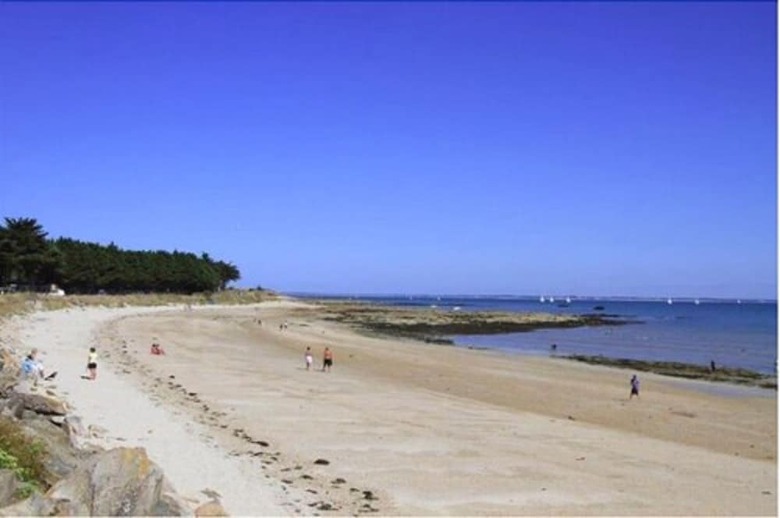 Macareux Moine