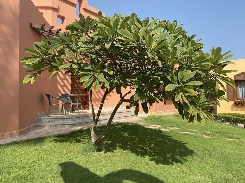 Hotel Nubian Island