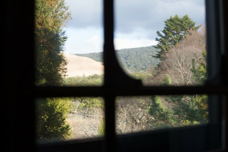 Nara Hotel