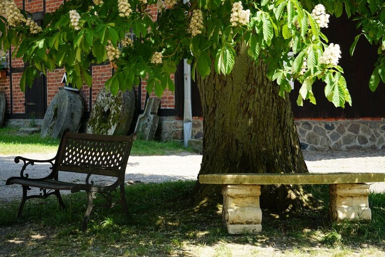 Beekenhof