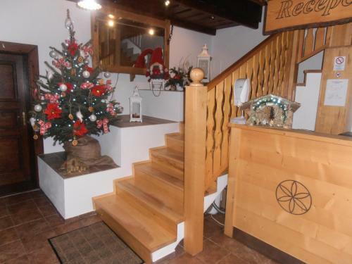 Hostal Penzion Koliba