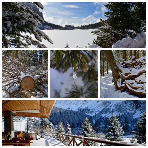 Horsky Hotel Popradske Pleso