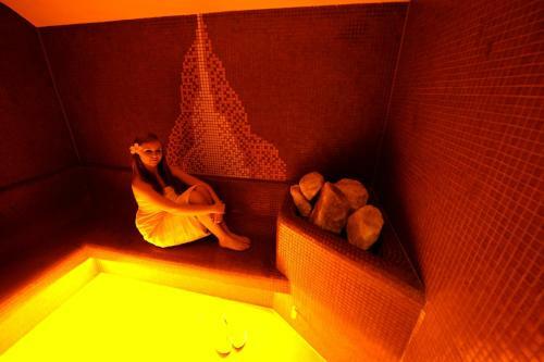 Hotel ?ingov Slovensk� Raj