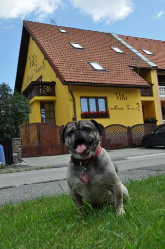 Hostal Vila House Family