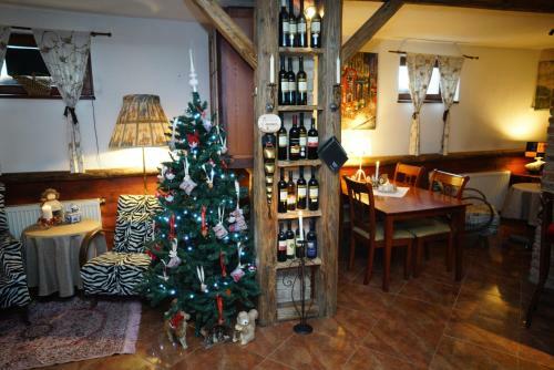 Hostal Penzion U Alzbetky