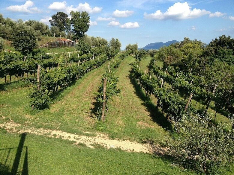 Agroturismo Le Mandolare