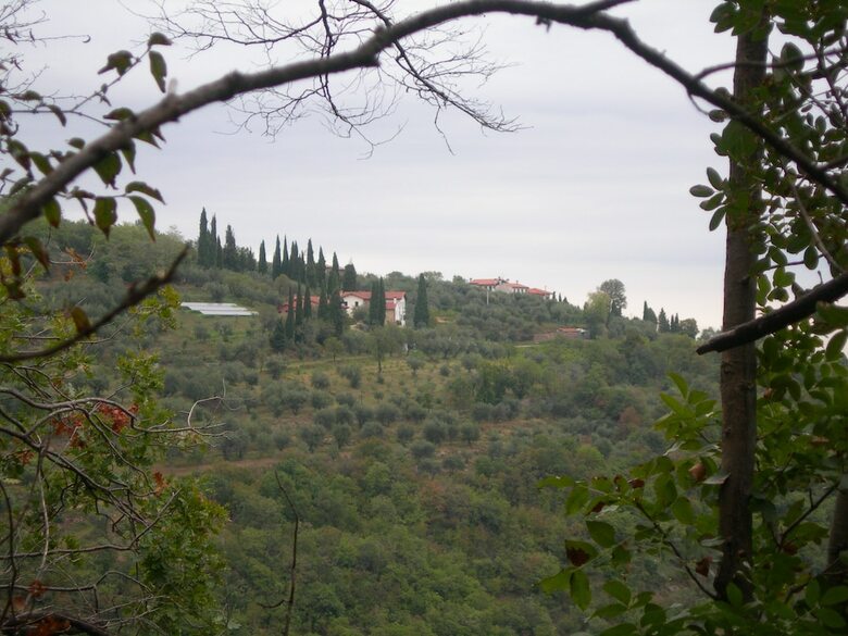 Agroturismo Le Mandolare
