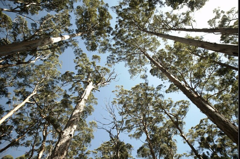 Apartamento Pemberton Lodge