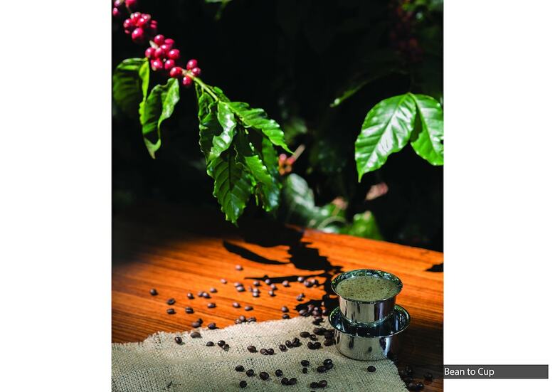 Hotel The Serai Chikmagalur A Private Pool Villa Resort