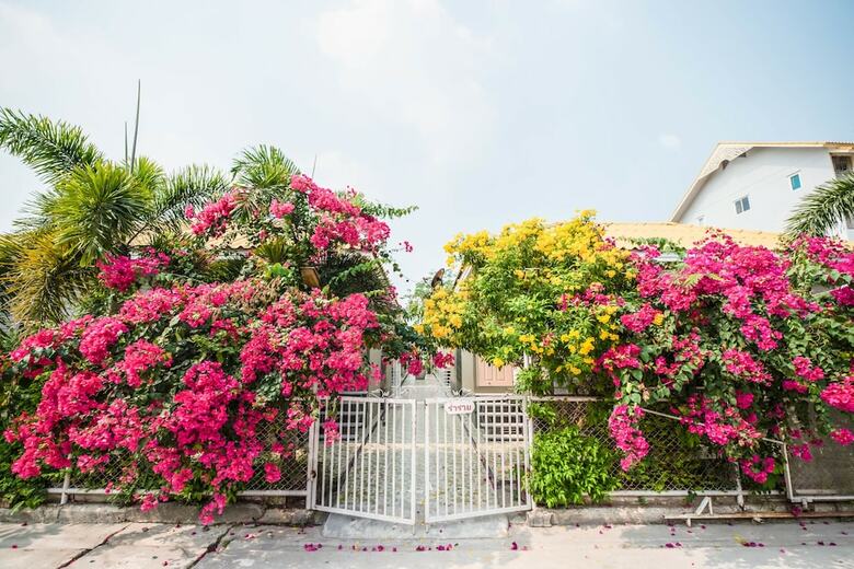 Hotel Oyo 569 AA Resort