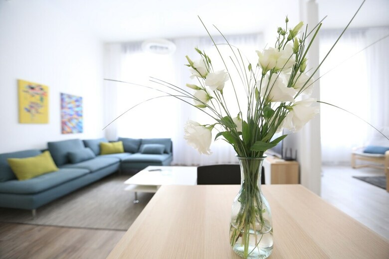 Apartamentos Paulay Central Top Suite