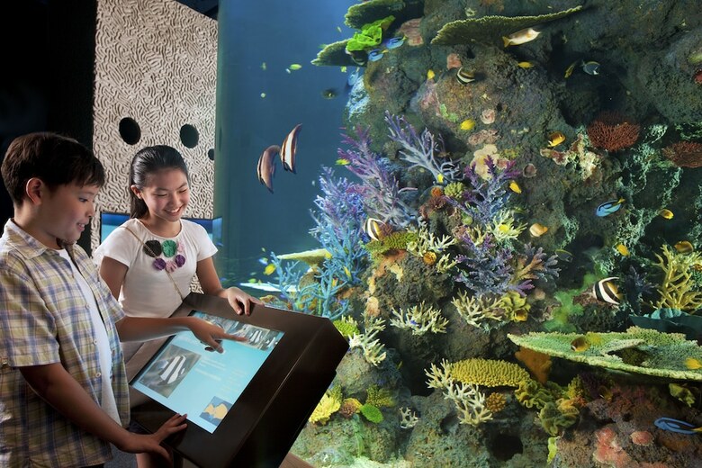 Resorts World Sentosa - Hard Rock Hotel