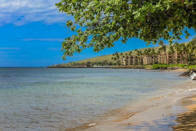 Island Sands By Coldwell Banker Island Vacations