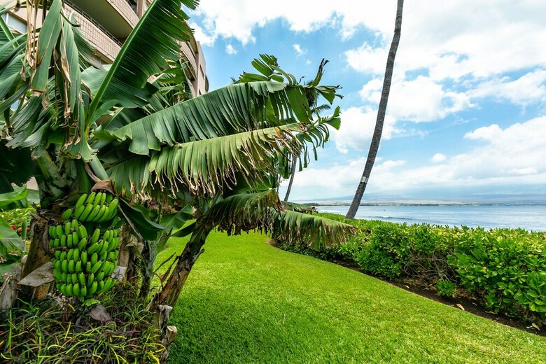 Island Sands By Coldwell Banker Island Vacations