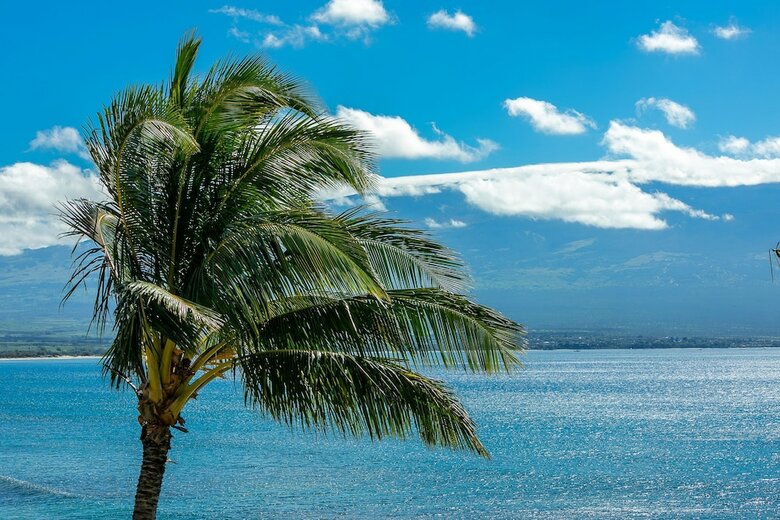 Island Sands By Coldwell Banker Island Vacations