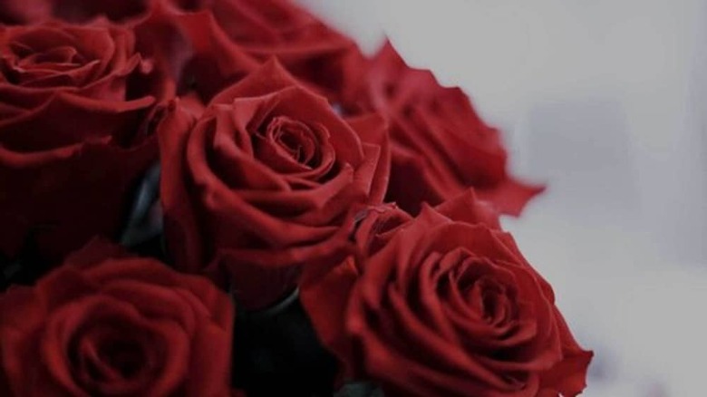 Apartamento Ignite Love Room