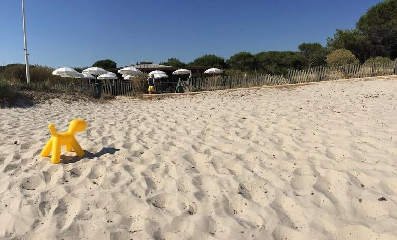 Apartamento Entre Mer Et Mer