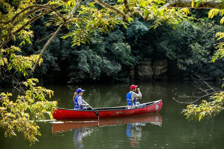 Hotel Belize Rainforest Retreat At Chaa Creek