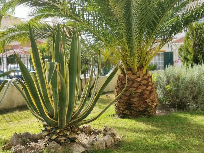 Hotel Happy Home Obidos