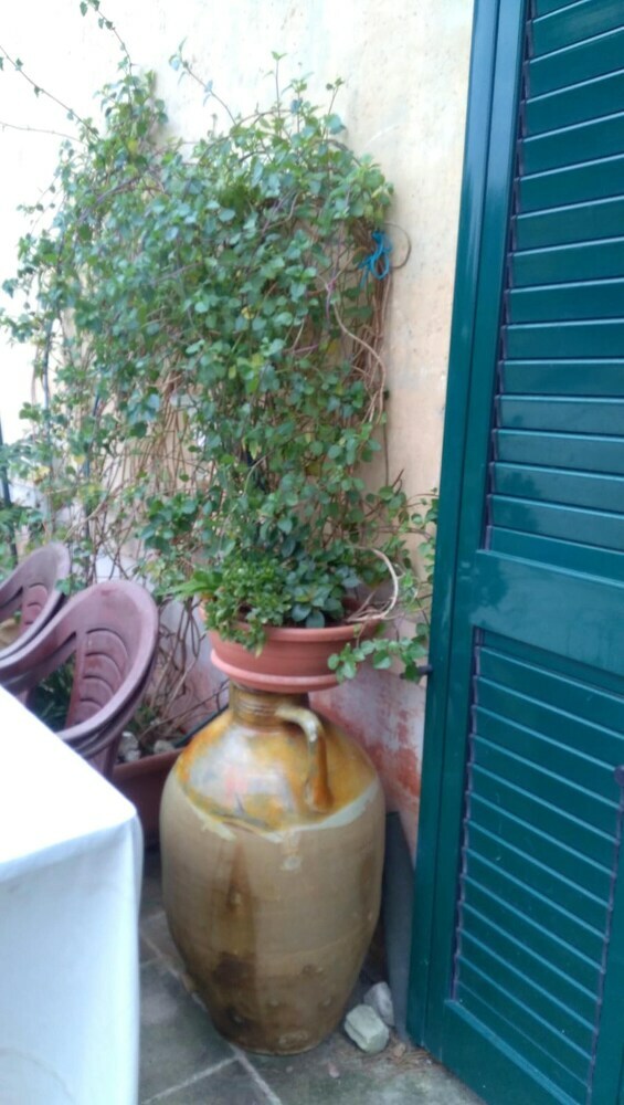 Apartamento Studio In Cenate Di Nardo, With Furnished Terrace