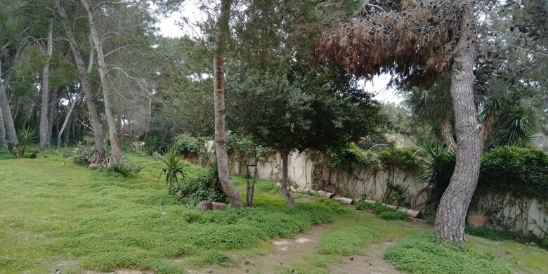 Apartamento Studio In Cenate Di Nardo, With Furnished Terrace