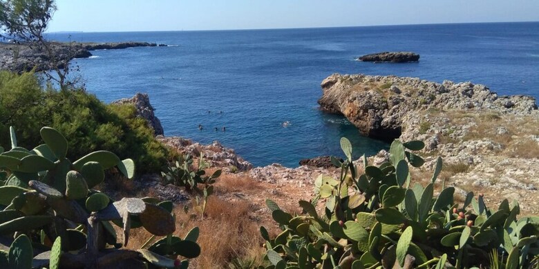 Apartamento Studio In Cenate Di Nardo, With Furnished Terrace