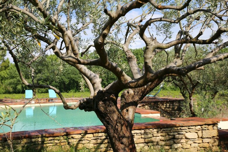 Domaine de Mas Caron