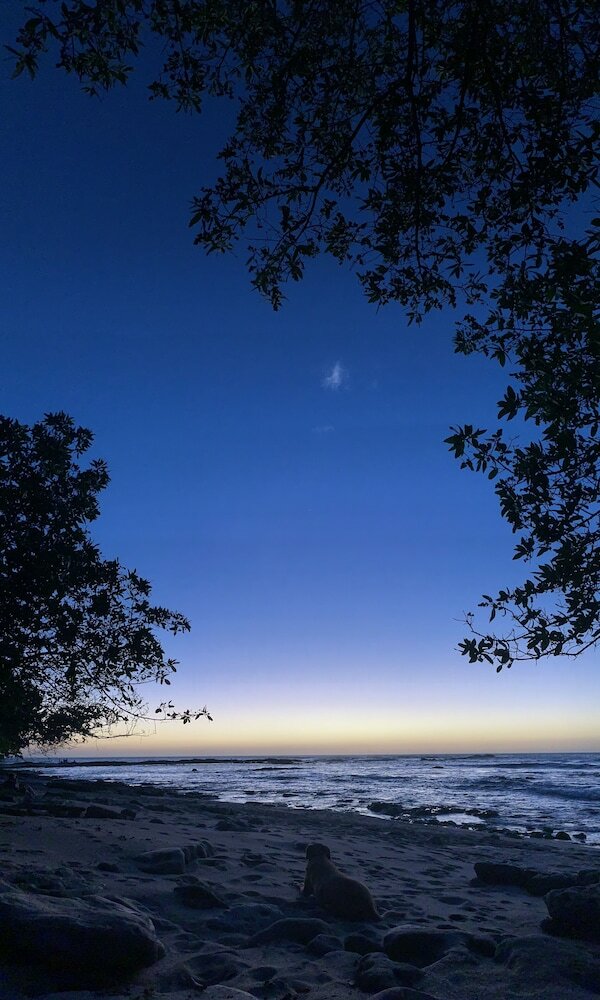 Villa My Way Langosta Beach House