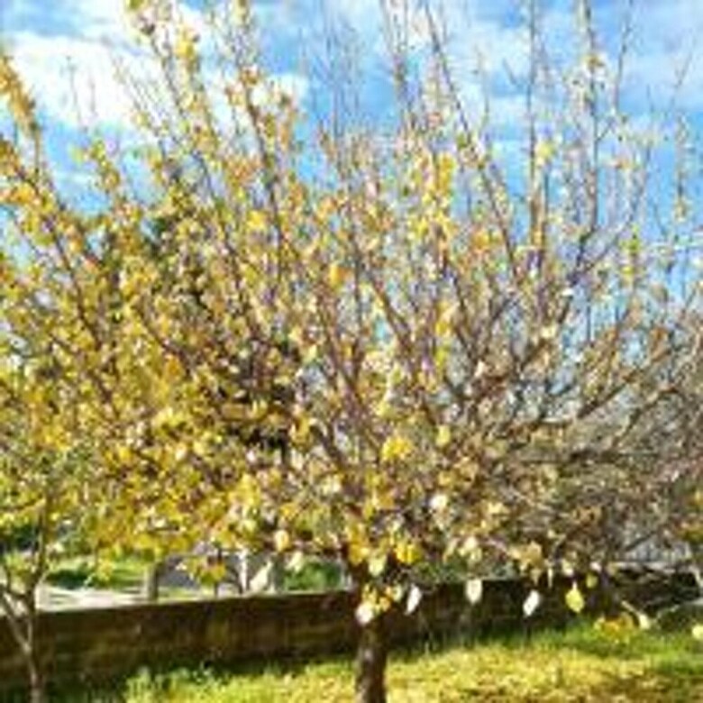 House With One Bedroom In Vittoria, With Wifi