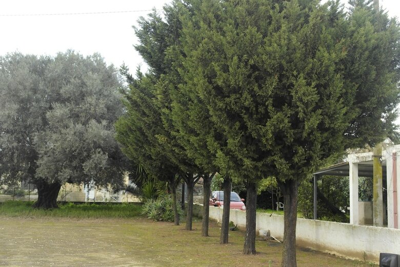 House With One Bedroom In Vittoria, With Wifi