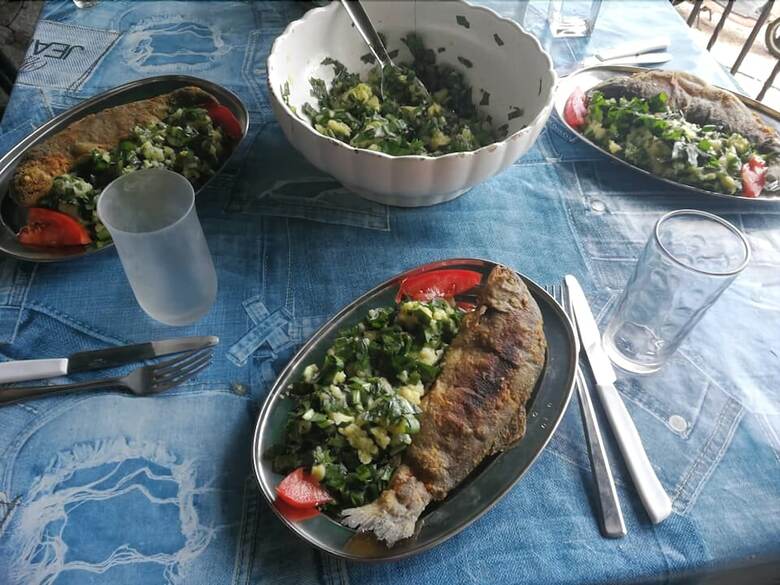B&B Ljepurice