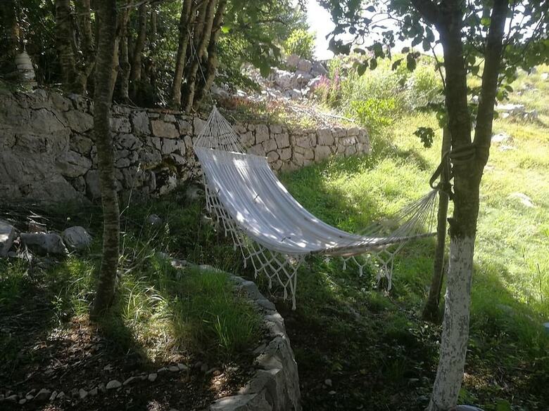 B&B Ljepurice