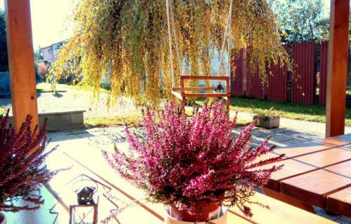 Hostal Penzi�n Harmony