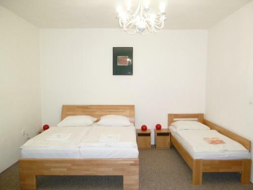 Hotel Penzi�n Centr�l