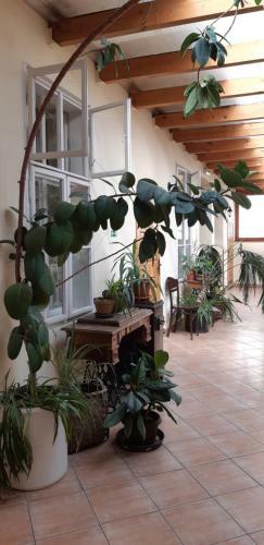 Hostal Victoria - Penzion & Restaurant