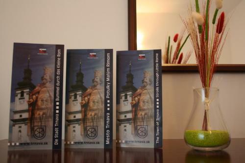 Bed & Breakfast Penzi�n Lux