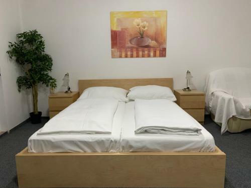 Hostal Penzion Holiday