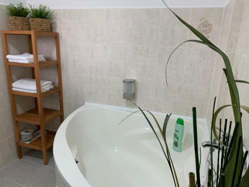 Hostal Penzion Holiday