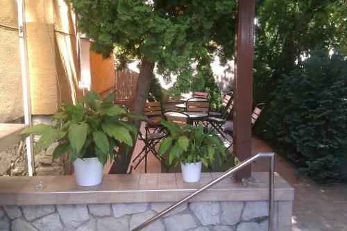 Hostal Penzi�n O�za