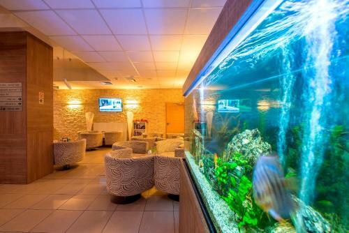 Wellness Hotel Bystr�
