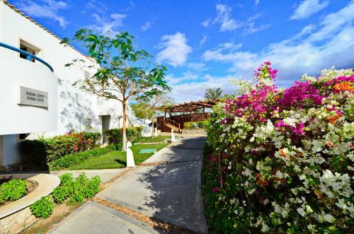 Hotel Reef Oasis Blue Bay Resort & Spa