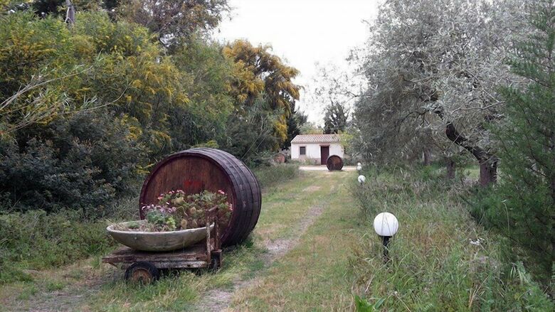 Agroturismo Agriturismo S'anea